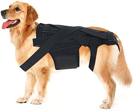 LAMPTOP Dog Back Brace for Dogs Arthritis, Pet Back Bracer for IVDD, Back Protector Helps Pain Relief, Surgical Recovery and Rehabilitation, Dogs Back Disease Prevention.