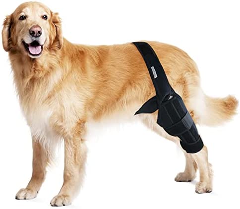 MerryMilo Dog Knee Brace For Support With Cruciate Ligament Injury, Joint Pain And Muscle Sore, Better Recovery With Dog ACL Knee Brace, Adjustable Rear Leg Braces For Dogs, Pet Knee Brace(Size: L)