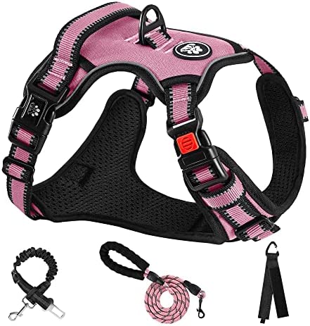 NESTROAD No Pull Dog Harness,Adjustable Oxford Dog Vest Harness with Leash,Reflective No-Choke Pet Harness with Easy Control Soft Handle for Small Dogs(Small,Pink)