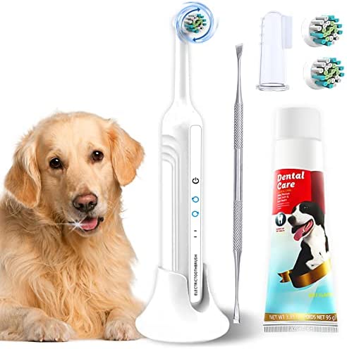 Ninibabie Dog Tooth Brushing Kit,Sonic Electric Toothbrush for Dog,Plaque and Tartar Remover,Dog Toothbrush and Toothpaste&Fingerbrush (White)