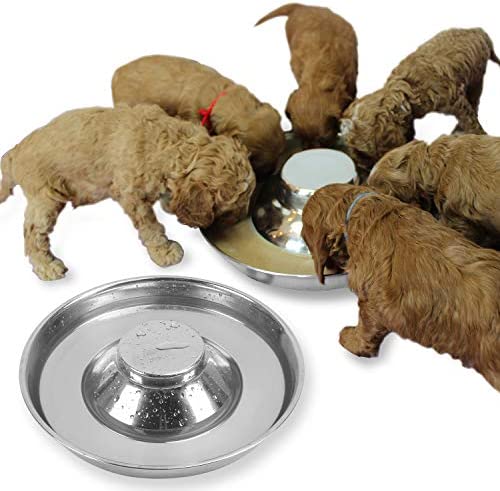 Podinor Stainless Steel Puppy Dog Bowls, Pets Puppies Feeding Food and Water Weaning Bowls Dishes Feeder