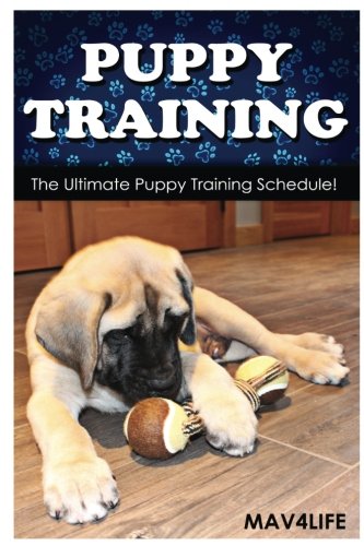 Puppy Training: The Ultimate Puppy Training Schedule!