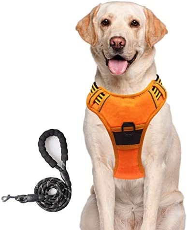 Reflective mesh Dog Harness - Comfortable fit Dog Carrier, Adjustable Padded Dog Vest, pet Oxford Vest, Easy to Control Handle, Suitable for Walking, Training, Small to Medium Sized Dog (Orange, M)