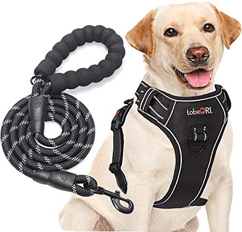 tobeDRI No Pull Dog Harness Adjustable Reflective Oxford Easy Control Medium Large Dog Harness with A Free Heavy Duty 5ft Dog Leash (S (Neck: 13"-18", Chest: 17.5"-22"), Black Harness+Leash)