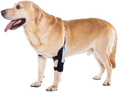 yrenoer Dog Elbow Brace for Treat ACL CCL, Front Leg Brace Wrap with Metal Spring Strips for Dogs with osteoarthritis, limping from Joint Pain, Keeps The Joint Warm and Stable (M_L)