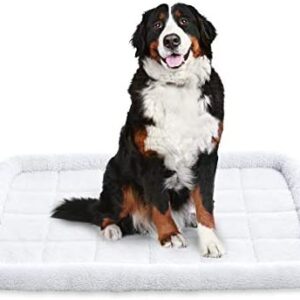 AmazonBasics Padded Pet Bolster Bed - 35 x 22 inches