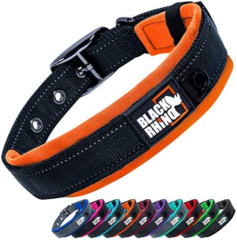 Black Rhino - The Comfort Collar Ultra Soft Neoprene Padded Dog Collar for All Breeds - Heavy Duty Adjustable Reflective Weatherproof (Medium, Orange/Bl)