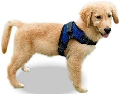 Copatchy No Pull Reflective Adjustable Dog Harness with Handle (Medium Blue)