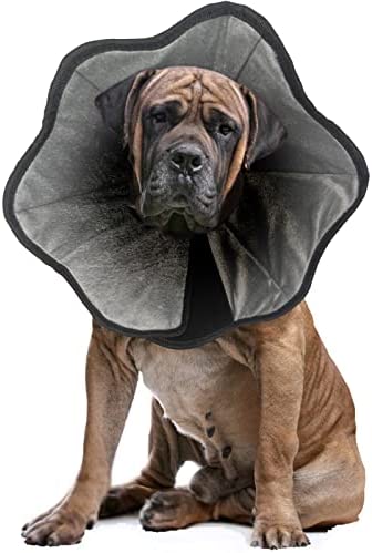 Dog Cone Collar for After Surgery, Soft Pet Recovery Collar for Dogs & Cats, Comfort Cone Collar Protective Collar for Large Medium Small Dogs, with Interior Made of Comfortable Plush Material XL05