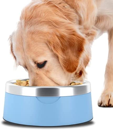 Dog Food Water Bowl - Stainless Steel Pet Feeding & Watering Bowl for Small, Medium, & Large Sized Dogs - Durable, Non Slip, 3 Cup Capacity (Cotton Blue)