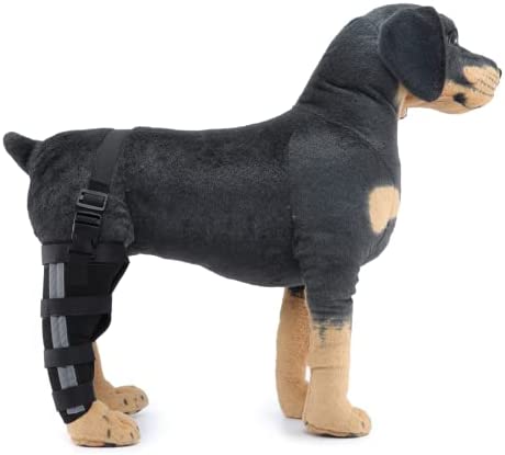 Dog Knee Brace for Torn ACL | Adjustable Knee Brace Leg Support for Dogs Back Leg | Dog Elbow Brace Knee Immobilizer Support for Pet Right Leg with Reflector Tape and Support Grip (L)