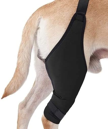 Dog Leg Brace/Rear Leg Dog Brace/Knee Brace for Dogs/ACL Injury Support/Knee Cap Dislocation/Arthritis/Stability/Extra Support/Reduces Pain (Left, XLarge)