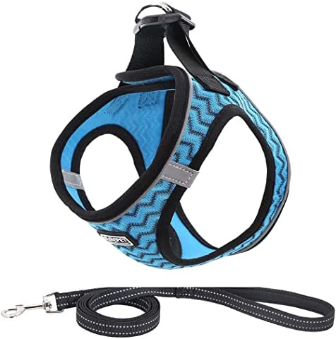 Extra Small Dog Harness and Leash Set - Light Weight Step in Puppy Vest with Breathable Mesh and Reflective for XSmall Pet Chihuahua Yorkie (Blue,XS)