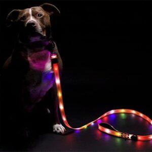 Flash Pet LED Dog Leash Safety Light with Maximum Visibility Up to 1100 Ft - 6 Foot Long Padded Handle Pro Grade Steel Swivel Clasp 3 Light Modes Doggie Poop Bag Holder and Roll of Bags Included