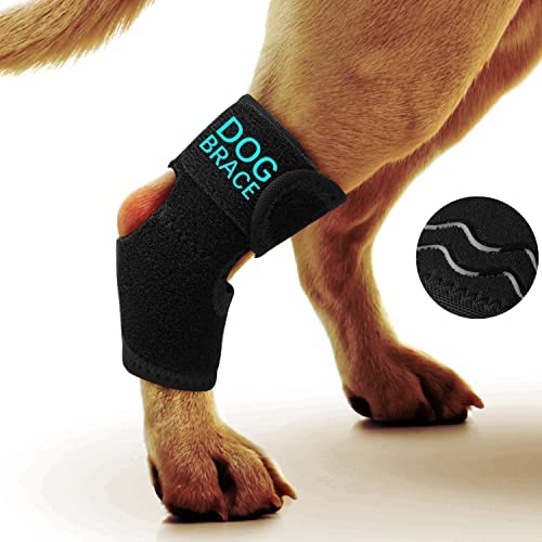 Hakecdys Dog Leg Brace Dog Canine Rear Hock Joint Brace Short Version Compression Wrap with Anti-Slip Strip, Protects Wounds Prevents Injuries and Sprains Helps Arthritis