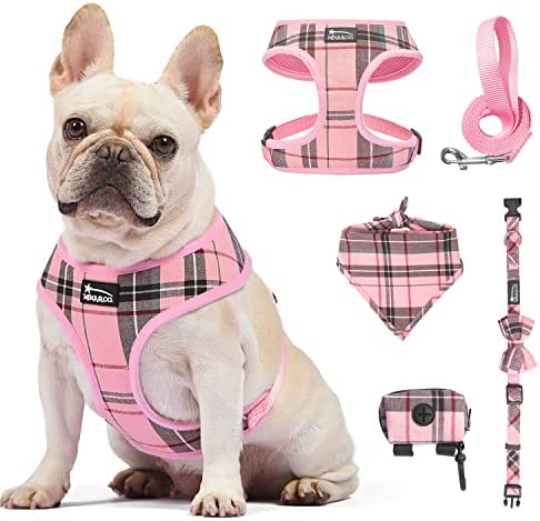 MINA&CO Dog Harness for Small Dogs No Pull - Adjustable Mesh Puppy Harness and Leash Set, Harness Medium Size Dog, Puppy Collar and Leash Set with Bandana & Poop Bag, Dog Vest Harness (Pink, XSmall)