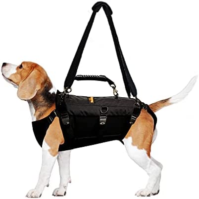 NeoAlly Sturdy Dog Lift Harness Full Body Support & Mobility Aids System - 5-in-1 Lifting Support, Carry Sling, Vest Harness, Back Brace, and Anxiety Vest - Endorsed by Shark Tank (Small)