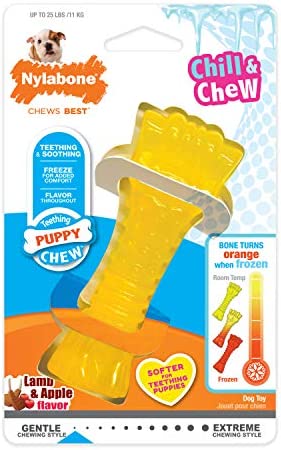Nylabone Puppy Chew Freezer Dog Toy, Lamb & Apple Small/Regular (1 Count)