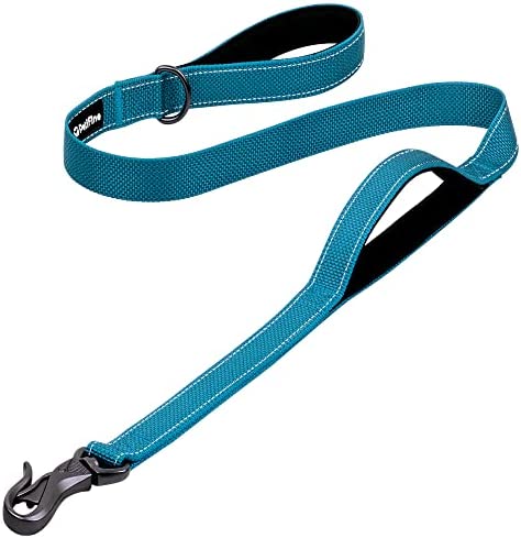 PetiFine 4FT Heavy Duty Dog Leash with Soft Padded Double Handle, Durable Strong Clasp Dog Leashes, Reflective Nylon Walking Lead for Large,Medium,Small Breed Dogs, Blue
