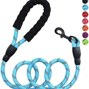 Petmegoo 5ft 1/2in Strong Blue Dog Leash for Large Dogs & Medium Size Dogs - Highly Reflective Heavy Duty Dog Rope Leash with Soft Padded Anti-Slip Handle- for 18-120 lbs Dogs
