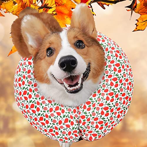 Purrrfect Life Protective Inflatable Collar for Dogs and Cats - Soft Pet Recovery Collar Does Not Block Vision, Prevents Pets from Touching Stitches, Wounds and Rashes (Floral - 1, Neck 13" - 17")