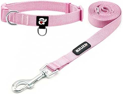 azuza Nylon Dog Collar and Leash Set, Strong & Durable Basic Style Leash with Easy to Use Collar Hook, Available in Multiple Lengths for Medium Dogs, Pink,M