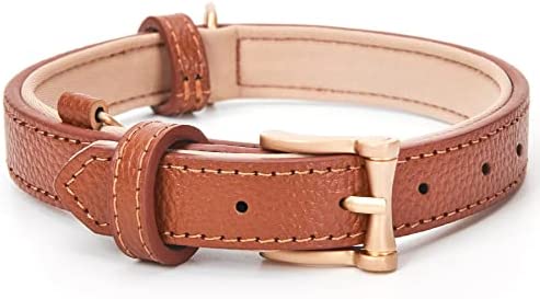 blu&ben Genuine Leather Dog Collars Classic Soft Padded Leather Collar Stylish Breathable Dog Collar for Small Medium Large Dogs