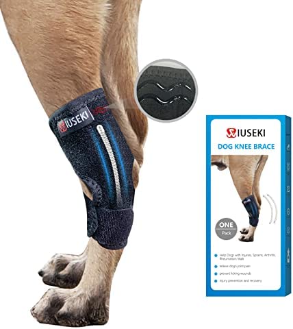 wiuseki Dog Leg Braces Back Leg Hock Joint with Anti-Slip Strip and Metal Spring Hock Ankle Brace,for Medium and Large or Long Legs Dogs Hind Leg Injuries or Sprains from Arthritis (1 Pcs, M)