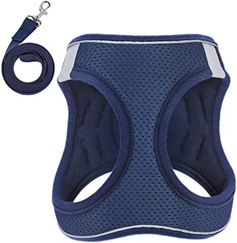 Dog Harness with Leash Set，No-Pull Pet Harness with 1 Leash Clips, Adjustable Soft Padded Dog Vest for Extra-Small/Small Medium Large Dogs and Cats(Blue,Small)