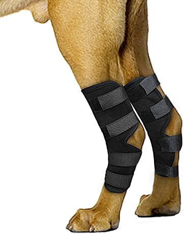 Dog Knee Brace, 2 Pack Dog Leg Braces for Back Leg, Prevents Injuries and Sprains, Helps Dogs with Loss of Stability Caused by Arthritis (Black, M)