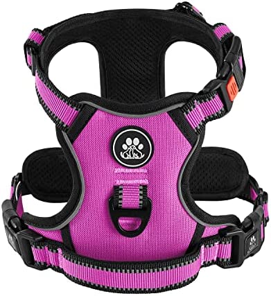 IVY&LANE No Pull Dog Harness for Medium Dogs,360° Reflective Dog Vest Harness with 2 Leash Clips,3 Snap Buckles,Adjustable Soft Padded Pet Vest with Easy Control Handle(Only Harness,Rose Red-M)