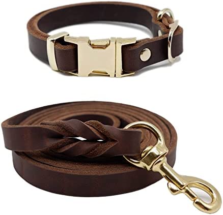 Leather Dog Leash 5ft for Small Dogs,Braided Leather Leash and Dog Collar Set,Strong Dog Training Leash,Soft Comfortable Dog Training Leather Leash and Dog Walking Leash for Small Dogs