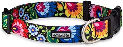 Lucky Love Dog Collars | Vivid Floral Girl or Boy Dog Collar for MediumDogs - Spring & Summer Themed Flower Print - Blackbird, Medium