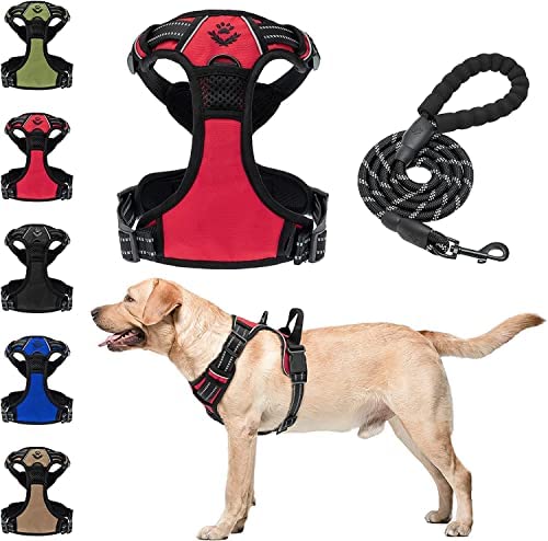 SCENEREAL No Pull Dog Harness and Leash, 360° Reflective Adjustable Soft Padded Pet Vest with Heavy Duty 5ft Dog Leash and 3 Safety Buckles, Easy Control for Medium to Extra Large Dogs Fashion