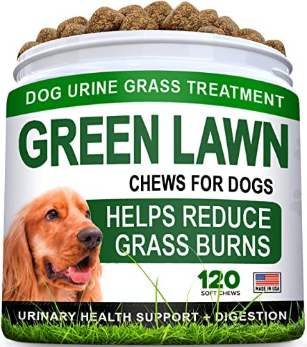 STRELLALAB Grass Burn Spot Chews for Dogs - Dog Urine Neutralizer for Lawn - Dog Pee Lawn Spot Saver - Natural Treatment Caused by Dog Urine - Grass Treatment Rocks -DL-Methionine+Enzymes - 100 Chew
