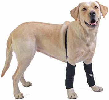 Totojiong Dog Leg Braces Dog Knee Pads for Front Legs,Dog Knee Brace,Adjustable Dog Front Leg Knee Brace,Dog cruciate Ligament Knee Brace