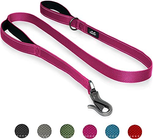 TwoEar 4FT 1IN Strong Rose Dog Leash with 2 Padded Handles, Traffic Handle Extra Control, Comfortable Soft Dual Handle, Auto Lock Hook, Reflective Walking Lead for Small Medium and Large Dogs