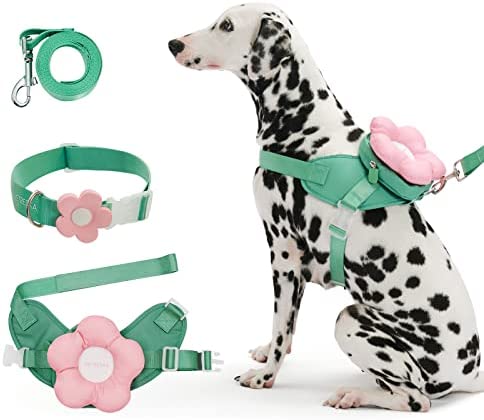 VETRESKA Dog Harness and Leash with Collar Set, No Pull Flower Pet Vest Harness, Adjustable Easy Control Dog Vest for Small Medium Large Dog-M