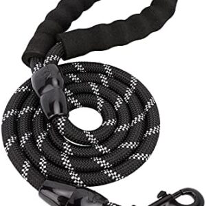 Amazon Basics 5-Foot Reflective Dog Leash with Comfortable Padded Handle, Black, for Large, Medium or Small Dogs