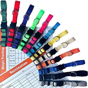 GAMUDA Puppy Collars – Super Soft Nylon Whelping Puppy ID - Adjustable Breakaway Litter Collars Pups – Assorted Colors Plain & Identification Collars with 2 Record Keeping Charts – Set of 12 (S)