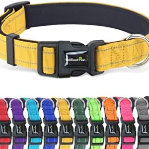 Brilliant Paw Reflective Dog Collar, Adjustable Nylon Collar, Strong Yet Comfortable, Safety Locking Buckle, Length Adjustable for Small Medium and Large Dog