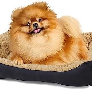 GREAT CENTURY Small Calming Rectangle Dog Bed Cat Bed, Washable Comfy Puppy Pet Bed, Anti-Slip Bottom Breathable Soft Dog Bed, 20 Inch Orthopedic Dog Couch for Small Dogs, Durable Warm Pet Bed, Brown